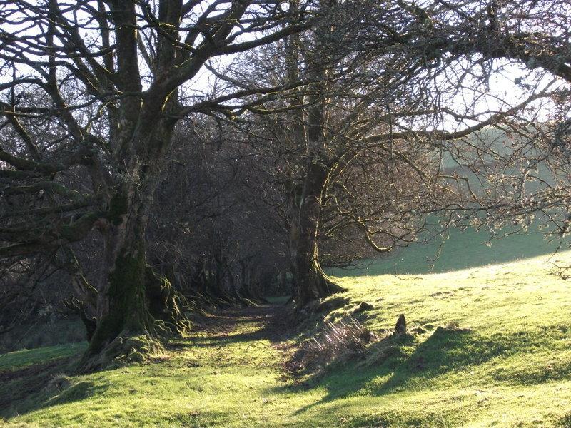 Swallow Barn Llanwrtyd Wells Quarto foto